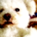 oaeros-blog-blog avatar