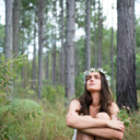 oak-trees-willow-leaves avatar