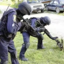 oapiesdesignblog avatar