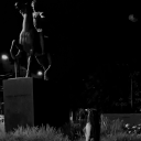 oaths-sworn-in-blood avatar