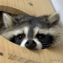 oatmealwarfare avatar