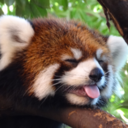 oats-and-whey avatar