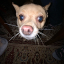 obeymesworld420 avatar