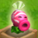 object-studios avatar