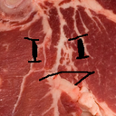 objectcrackfessions avatar