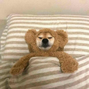 obliviatestuff avatar