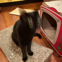 oblivionwonderlust avatar