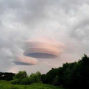 obliviousataraxia avatar