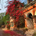 obliviousperipateticmaiden avatar