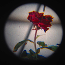 obra-de-vangogh avatar