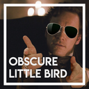 obscurelittlebird avatar