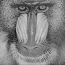 obsequiousbaboon avatar