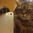 observers-stuff avatar