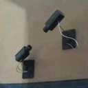 obsessed-with-the-bitches avatar