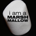 obsessedopinions avatar