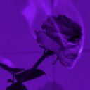 obsessedwithbooksandmusic avatar