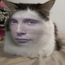 obsessedwithff avatar