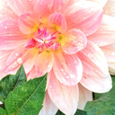 obsessedwithmyselfie avatar