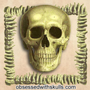 obsessedwithskulls avatar