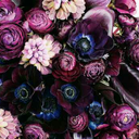 obsessive-confessions avatar