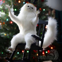 obsidian-trash avatar