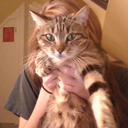 obsoletespace-blog-blog avatar