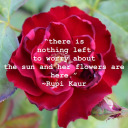 obsoletethorns avatar