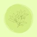 obstreperous-studies avatar