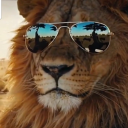 obversemisanthrope-3 avatar