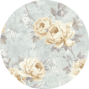 obviously-she-s-her avatar