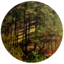 obviouspurpose avatar