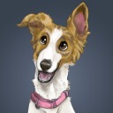 ocala-is-calling avatar