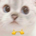 ocaym avatar