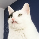 occasional-mediocre-art avatar