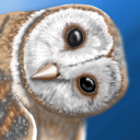 occidentalowl avatar