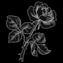 occupyyourskin avatar