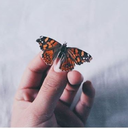 ocean-de-bruit avatar