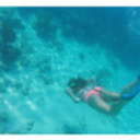 ocean-reef avatar