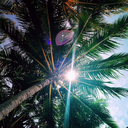 ocean-sanctuary avatar