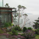 ocean-watcher avatar