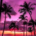 oceanfromthebloo avatar