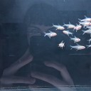 oceanic-constellations avatar