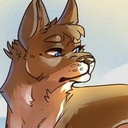 oceanic-dingo-paws-moved avatar