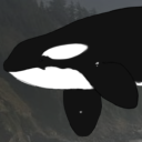 oceanicorca avatar