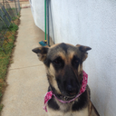 oceanicvibes1997 avatar