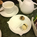 oceanidicasualitaintersecate avatar