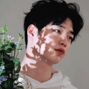 oceankangs avatar