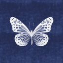 oceanmp3 avatar