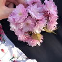 oceanofemptythoughts avatar