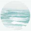 oceanprinces-s-blog avatar